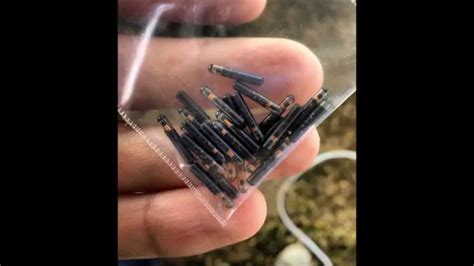 rfid chip implants by fred brownbill on constitution legal watch|Security, privacy, and ethical concerns on human radio.